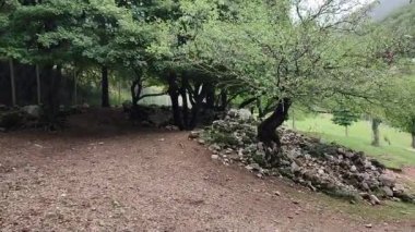 Villetta Barrea, Abruzzo, İtalya 9 Eylül 2024: Abruzzo 'daki Daini Ziyaretçi Merkezi, Lazio ve Molise Ulusal Parkı