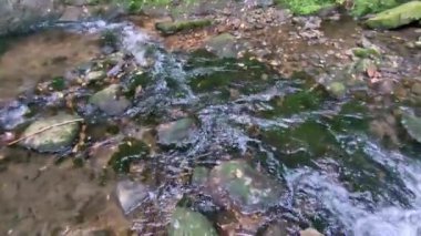 Carpinone, Molise, İtalya 6 Kasım 2024: Via Fiume 'deki Şelale Parkı' ndan Carpino Şelalesi veya Cascata Grande 'ye ulaşan, Carpinone ve Tura nehirlerinin suları tarafından oluşturulan doğa yolu, Carpinone köyünün yamaçlarında yer almaktadır.