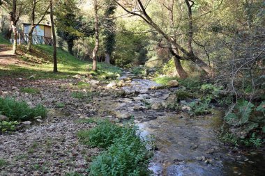 Carpinone, Molise, İtalya 6 Kasım 2024: Via Fiume 'deki Şelale Parkı' ndan Carpino Şelalesi veya Cascata Grande 'ye ulaşan, Carpinone ve Tura nehirlerinin suları tarafından oluşturulan doğa yolu, Carpinone köyünün yamaçlarında yer almaktadır.