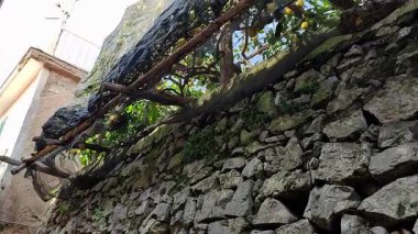 Maiori, Campania, İtalya 24 Şubat 2025: Minori ve Maiori köylerini birbirine bağlayan Sentiero dei Limoni 'den görüntü