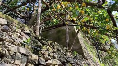 Maiori, Campania, İtalya 24 Şubat 2025: Minori ve Maiori köylerini birbirine bağlayan Sentiero dei Limoni 'den görüntü