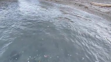 Napoli, Campania, İtalya 23 Kasım 2024: Gaiola Sualtı Parkı 'nın Deniz Koruma Alanında Posillipo' nun Serbest Plajı