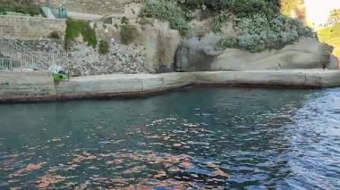 Napoli, Campania, İtalya 23 Kasım 2024: Gaiola Sualtı Parkı 'nın Deniz Koruma Alanında Posillipo' nun Serbest Plajı