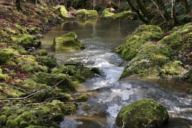 Roccamandolfi, Isernia, Molise, İtalya 11 Mart 2025: Crivati Dağı yamaçlarındaki Rio Torrone boyunca Torrente Callora 'nın Bölgesel Doğa Rezervi 140 c.