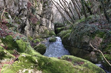 Roccamandolfi, Isernia, Molise, İtalya 11 Mart 2025: Crivati Dağı yamaçlarındaki Rio Torrone boyunca Torrente Callora 'nın Bölgesel Doğa Rezervi 140 c.