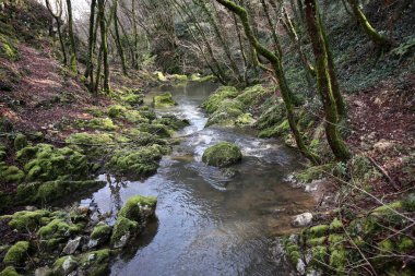 Roccamandolfi, Isernia, Molise, İtalya 11 Mart 2025: Crivati Dağı yamaçlarındaki Rio Torrone boyunca Torrente Callora 'nın Bölgesel Doğa Rezervi 140 c.