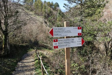 Roccamandolfi, Isernia, Molise, Italy  March 11, 2025: Steel suspension bridge inaugurated in 2009 that crosses the Fosso Fornello stream on the slopes of Mount Crivari clipart