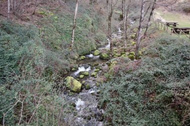 Roccamandolfi, Isernia, Molise, İtalya 11 Mart 2025: San Massimo köyünü Roccamandolfi köyüne bağlayan yol boyunca Cascata Rio 'nun küçük doğal vahası