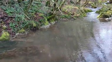 Roccamandolfi, Isernia, Molise, İtalya 11 Mart 2025: Crivati Dağı yamaçlarındaki Rio Torrone boyunca Torrente Callora 'nın Bölgesel Doğa Rezervi 140 c.