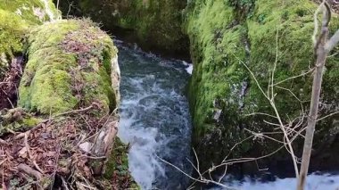 Roccamandolfi, Isernia, Molise, İtalya 11 Mart 2025: Crivati Dağı yamaçlarındaki Rio Torrone boyunca Torrente Callora 'nın Bölgesel Doğa Rezervi 140 c.