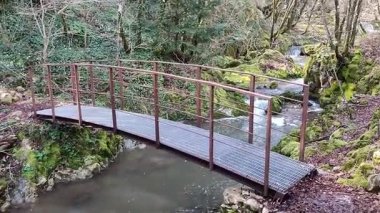 Roccamandolfi, Isernia, Molise, İtalya 11 Mart 2025: Crivati Dağı yamaçlarındaki Rio Torrone boyunca Torrente Callora 'nın Bölgesel Doğa Rezervi 140 c.