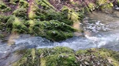 Roccamandolfi, Isernia, Molise, İtalya 11 Mart 2025: Crivati Dağı yamaçlarındaki Rio Torrone boyunca Torrente Callora 'nın Bölgesel Doğa Rezervi 140 c.