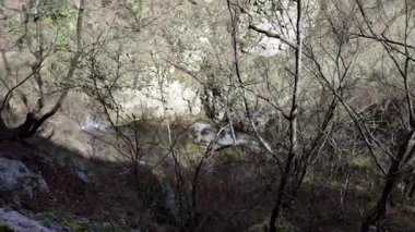 Roccamandolfi, Isernia, Molise, İtalya 11 Mart 2025: Crivati Dağı yamaçlarındaki Rio Torrone boyunca Torrente Callora 'nın Bölgesel Doğa Rezervi 140 c.