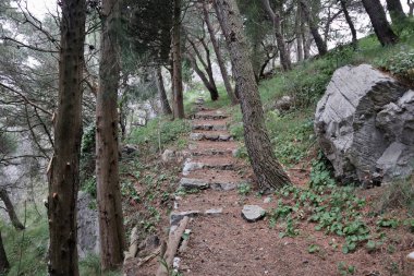Pontone, Campania, İtalya 17 Mart 2025: Küçük köyün merkezinden Torre dello Ziro 'ya, Scalella Kalesi' nin ortaçağ kalıntılarına ve Monte Aureo 'nun bakış açısına giden yol