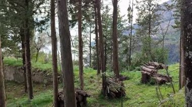 Pontone, Campania, İtalya 17 Mart 2025: Monte Aureo 'daki Scalella Kalesi' nin kalıntıları Atrani ve Amalfi arasındaki Amalfi Sahili 'nin uzantısına bakıyor