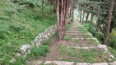 Pontone, Campania, İtalya 17 Mart 2025: Küçük köyün merkezinden Torre dello Ziro 'ya, Scalella Kalesi' nin ortaçağ kalıntılarına ve Monte Aureo 'nun bakış açısına giden yol