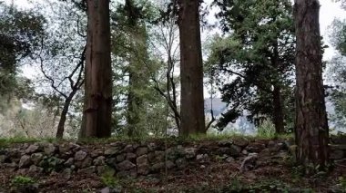 Pontone, Campania, İtalya 17 Mart 2025: Küçük köyün merkezinden Torre dello Ziro 'ya, Scalella Kalesi' nin ortaçağ kalıntılarına ve Monte Aureo 'nun bakış açısına giden yol