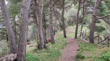 Pontone, Campania, İtalya 17 Mart 2025: Küçük köyün merkezinden Torre dello Ziro 'ya, Scalella Kalesi' nin ortaçağ kalıntılarına ve Monte Aureo 'nun bakış açısına giden yol