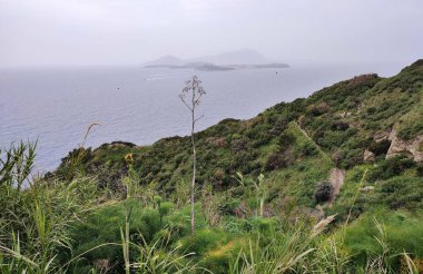 Bacoli, Campania, İtalya 23 Mart 2025: Capo Miseno Deniz Feneri 'nden başlayıp Via Faro' daki tünele oradan da Miseno sahillerine ulaşan Deniz Feneri Yolu veya Kuş Yolu