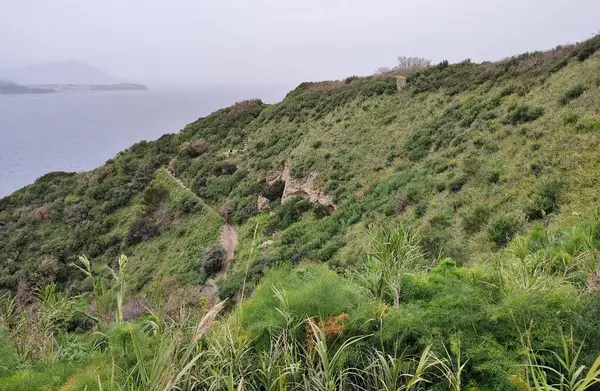 Bacoli, Campania, İtalya 23 Mart 2025: Capo Miseno Deniz Feneri 'nden başlayıp Via Faro' daki tünele oradan da Miseno sahillerine ulaşan Deniz Feneri Yolu veya Kuş Yolu