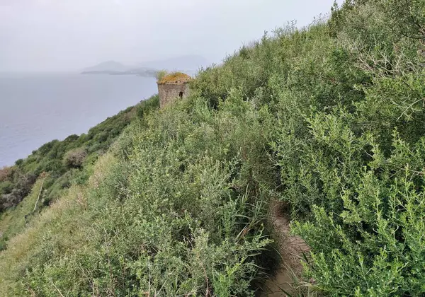 Bacoli, Campania, İtalya 23 Mart 2025: Capo Miseno Deniz Feneri 'nden başlayıp Via Faro' daki tünele oradan da Miseno sahillerine ulaşan Deniz Feneri Yolu veya Kuş Yolu
