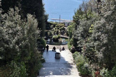 Napoli, Campania, İtalya 8 Nisan 2025: Vomero tepesindeki Villa Floridiana parkındaki kaplumbağa göleti