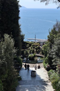 Napoli, Campania, İtalya 8 Nisan 2025: Vomero tepesindeki Villa Floridiana parkındaki kaplumbağa göleti