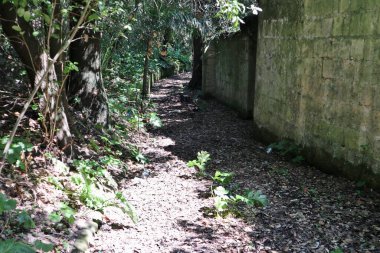 Napoli, Campania, İtalya 8 Nisan 2025: Vomero tepesindeki 19. yüzyıl Villa Floridiana parkının parıltısı