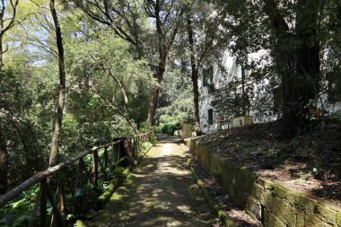 Napoli, Campania, İtalya 8 Nisan 2025: Vomero tepesindeki 19. yüzyıl Villa Floridiana parkının parıltısı