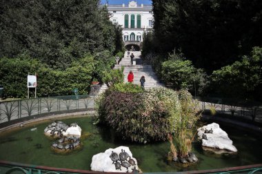 Napoli, Campania, İtalya 8 Nisan 2025: Vomero tepesindeki Villa Floridiana parkındaki kaplumbağa göleti