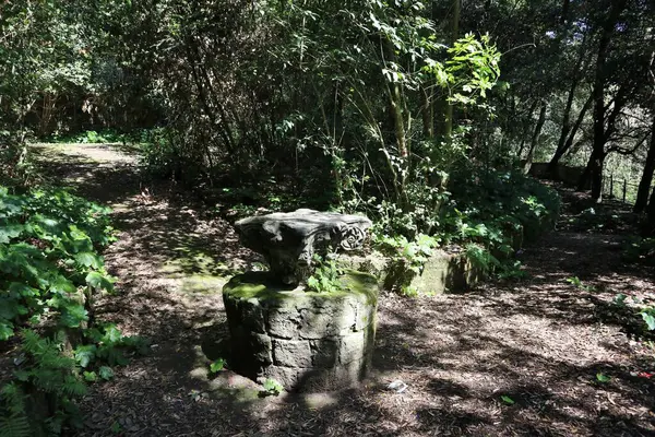 Napoli, Campania, İtalya 8 Nisan 2025: Vomero tepesindeki 19. yüzyıl Villa Floridiana parkının parıltısı