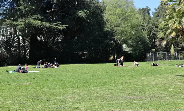 Napoli, Campania, İtalya 8 Nisan 2025: Vomero tepesindeki 19. yüzyıl Villa Floridiana parkının parıltısı