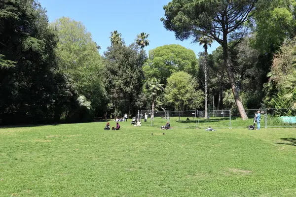 Napoli, Campania, İtalya 8 Nisan 2025: Vomero tepesindeki 19. yüzyıl Villa Floridiana parkının parıltısı