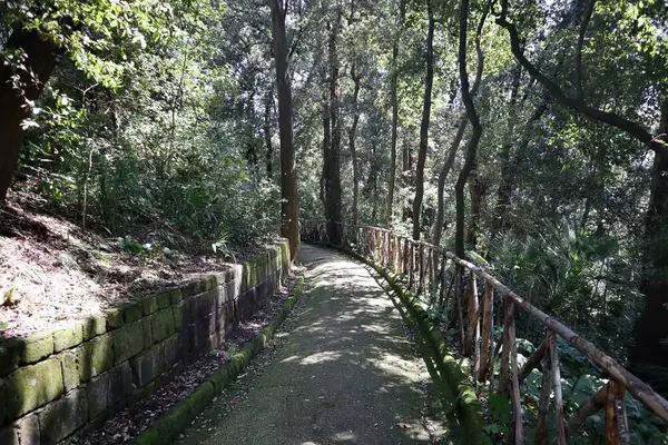 Napoli, Campania, İtalya 8 Nisan 2025: Vomero tepesindeki 19. yüzyıl Villa Floridiana parkının parıltısı