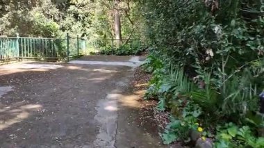 Napoli, Campania, İtalya 8 Nisan 2025: Vomero tepesindeki 19. yüzyıl Villa Floridiana parkının parıltısı