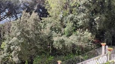 Napoli, Campania, İtalya 8 Nisan 2025: Duca di Martina Seramik Müzesine ev sahipliği yapan Villa Floridiana Bourbon Konutu