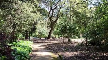 Napoli, Campania, İtalya 8 Nisan 2025: Vomero tepesindeki 19. yüzyıl Villa Floridiana parkının parıltısı