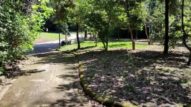 Napoli, Campania, İtalya 8 Nisan 2025: Vomero tepesindeki 19. yüzyıl Villa Floridiana parkının parıltısı