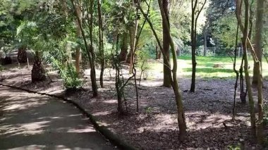 Napoli, Campania, İtalya 8 Nisan 2025: Vomero tepesindeki 19. yüzyıl Villa Floridiana parkının parıltısı