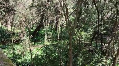 Napoli, Campania, İtalya 8 Nisan 2025: Vomero tepesindeki 19. yüzyıl Villa Floridiana parkının parıltısı