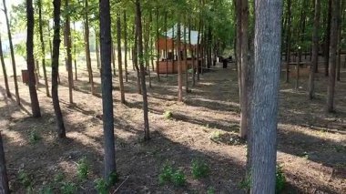 Benevento, Campania, İtalya 30 Temmuz 2025: Sabato Nehri yakınlarındaki şehir parkı İtalyan devlet adamı Ciriaco De Mita 'nın açılışı ve açılışı