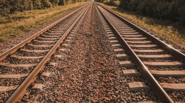 Demiryolu ya da demiryolu, raylardan oluşan bir demiryolu ya da demiryolu yapısıdır. Trenlerin, tekerleklerinin yuvarlanması için güvenilir bir yüzey sağlayarak hareket etmelerini sağlar..