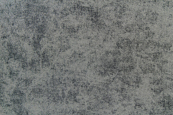 The texture of the bark beetle is silver in color. Background for decoration and design of web page and interior. Structure of building material.