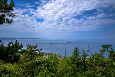 Etrafı yemyeşil ağaçlar ve canlı bitkilerle çevrili engin bir su kütlesini gösteren manzaralı bir manzara.