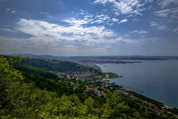 Yakınlarda, yaşam dolu uçsuz bucaksız bir su tabakası. Kalabalık bir şehir silueti uzaklardan görülebiliyor. Çarpıcı bir kontrastlık yaratıyor.