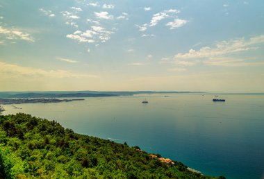 Yakınlarda, yaşam dolu uçsuz bucaksız bir su tabakası. Kalabalık bir şehir silueti uzaklardan görülebiliyor. Çarpıcı bir kontrastlık yaratıyor.