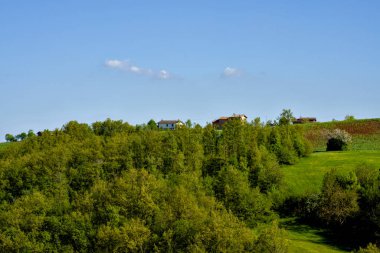 Güzel, yemyeşil bir yamaç ağaçlarla süslenmiş, arka planda rahat bir şekilde yerleştirilmiş resimli bir evin yanında.