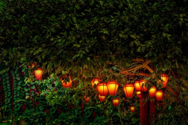 Rengarenk bir grup fener bir ağacın dallarına asılarak geceleri sıcak ve davetkar bir atmosfer yaratıyor.