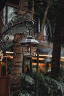 Güzel bir fener zarif bir şekilde uzun bir direğe sarkıyor. Huzurlu bir orman ortamının tam ortasında.