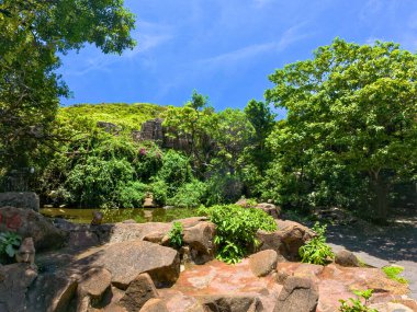 Ağaçların ve manzaranın arka planında güzel bir şekilde yerleştirilmiş dingin bir göletin bulunduğu pitoresk kayalık bir alan